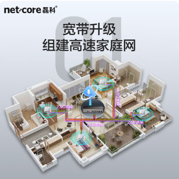 磊科（netcore）GS6 6口企业级交换机4个2.5G电口+2个万兆SFP光口 支持向下兼容1G光电模块 千兆网络分线器