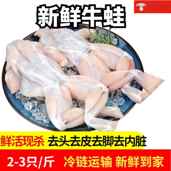 皓谦牛蛙鲜活新鲜大青蛙肉半成品牛蛙腿蛙肉冷冻串商用石蛙 大号牛蛙2斤 约 6 -7 只