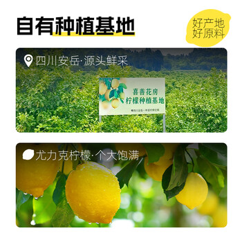 喜善花房七日柠檬15g装泡水喝0添加蔗糖无蜂蜜柠檬片水果干即食冷泡水果茶
