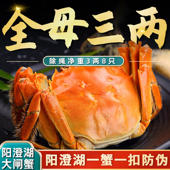 活蟹阳澄湖大闸蟹3两8只全母蟹宴现货鲜活湖蟹礼盒装【图片 价格 品牌