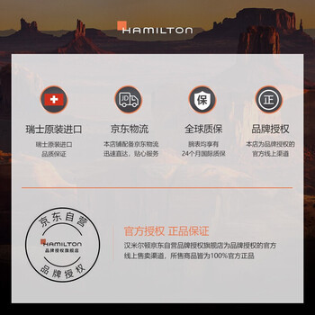 汉米尔顿机芯怎么样(汉米尔顿机械手表好不好)