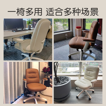 富凯电脑椅家用书房椅轻奢学习椅子人体工学办公椅升降转椅B2315 富凯电脑椅家用书房椅轻奢学习椅子人体工学办公椅升降转椅B2315