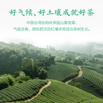 炭纪(teagraphy)乌龙茶四季春冻顶乌龙中国台湾原装进口一级50g手工烘焙茶叶送礼 炭纪(teagraphy)乌龙茶四季春冻顶乌龙中国台湾原装进口一级50g手工烘焙茶叶送礼