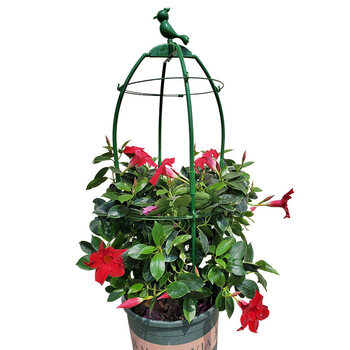 月季拱门花架爬藤架葡萄架庭院花架花园室外不锈钢安装简单不生锈朵维月季花架 80cm高度 无 特大 图片价格品牌报价 京东