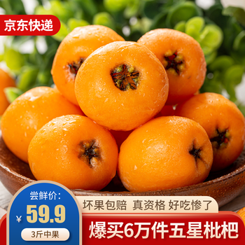 智田喜攀枝花米易高山五星枇杷新鲜水果现摘现发枇杷3斤 中果 30g 图片价格品牌报价 京东