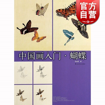 中国画入门 蝴蝶 张瑞根 水墨画教材教程 零基础自学 艺术 