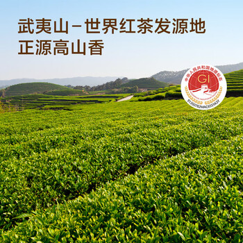 京东京造鲜来多 头春特级金骏眉60g武夷山红茶茶叶自己喝性价比口粮茶送礼