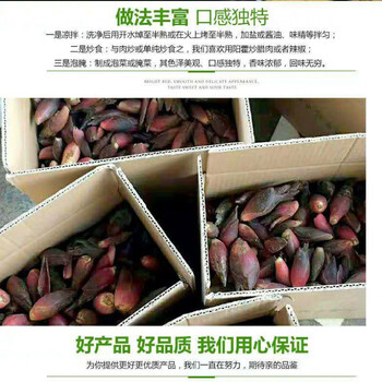 阳霍茗荷姜价格报价行情 京东