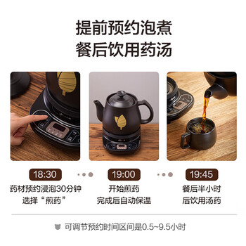 小熊（Bear）中药锅煎药壶 全自动 电砂锅电药壶煎中药熬药煲汤 煲药煮药壶中药煲  JYH-C30A1-P01