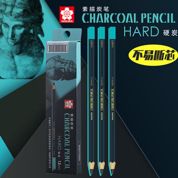 樱花(SAKURA)素描铅笔炭笔12支整盒装(硬炭)软炭软中硬美术生艺考写生速写绘画专用画笔美术写生 樱花(SAKURA)素描铅笔炭笔12支整盒装(硬炭)软炭软中硬美术生艺考写生速写绘画专用画笔美术写生