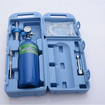 [华宸]医用氧气罐4l/套 家用便携式手提小氧气 升