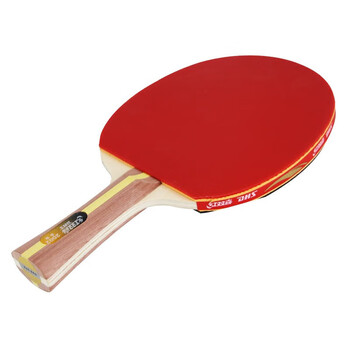 红双喜(DHS)二星级乒乓球拍横拍训练成品拍升级版双面反胶H2002