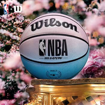 Wilson威尔胜官方NBA DRV ENDURE系列渐变设计PU室内外通用7号篮球礼物