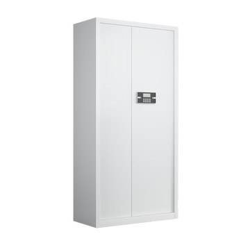 丰龙保密柜文件柜智能密码锁档案柜办公资料铁皮柜凭证柜通门无抽