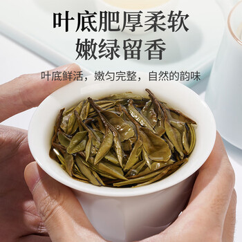 传奇会茶叶白茶传奇一号系列福鼎白茶白牡丹源产老白茶500g自己喝送礼