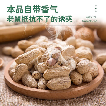 绿叶粘鼠板 薄板捕鼠工具粘老鼠贴灭鼠板老鼠粘板40片装GL02113