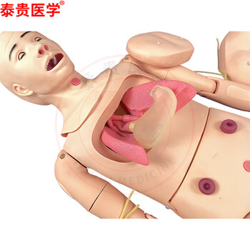 泰贵医学 全功能创伤护理人模型 野战基础伤情模拟人 23部件导尿止血包扎固定搬运外科急救训练假人 TG/CS15