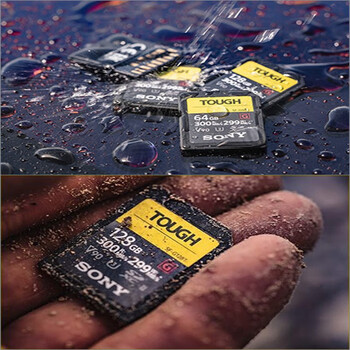 索尼（SONY）256GB SD存储卡 SF-G256T/T1 SF-G系列 TOUGH规格  读取300MB/S写入299MB/S 相机内存卡