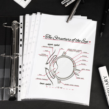 得力（deli）【超级爆款】100只11孔资料册文件袋替芯袋 快递袋票据档案收纳搭配活页孔夹快劳夹使用透明P05715
