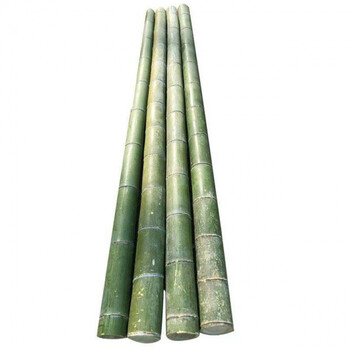 长竹竿粗大毛竹粗竹子2米3米6米竹竿晾衣杆舞旗杆彩旗4米长竹杆子34