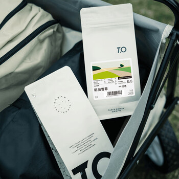 TO精品咖啡豆 埃塞俄比亚切尔巴耶加雪菲日晒200g 原产地手冲单品