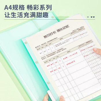 得力（deli）A3/30页试卷资料册 对折活页插袋画稿袋收纳袋文件夹产检收纳册乐谱夹 小学初中高中 绿色72478
