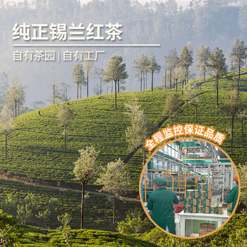 迪尔玛英式早餐茶 20袋*2g 茶包裸包 斯里兰卡进口茶叶 胖东来同款