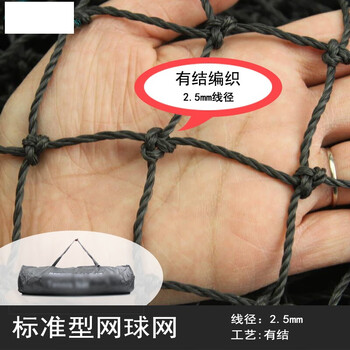 WEING网球网 室内外标准专业训练网球拦网便携式简易网球网子 标准型