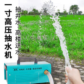 定制适用充电水泵农用灌溉抽水机浇菜高压一寸大流量抽井水12v隔膜抽