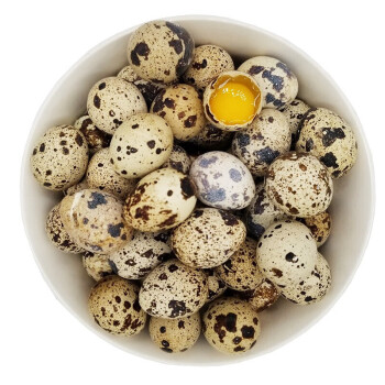 海龙康新鲜生鹌鹑蛋鹑鸟蛋生鲜蛋鹌鹑蛋35枚
