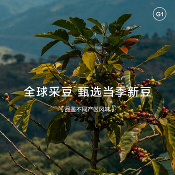 CAFFE MARYLING全球原产地甄选精品挂耳咖啡滤挂式新鲜烘焙现磨粉多口味