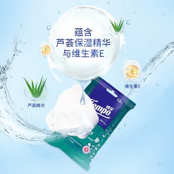 得宝 卫生湿巾12片*10包 清爽不沾手 温和无刺激 随身便携 T3002