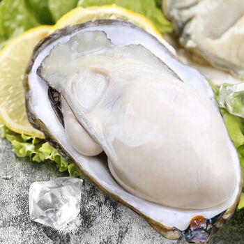 生蚝鲜活612斤特大号超大一箱即食牡蛎新鲜生蚝海蛎子鲜露哒生蚝6斤