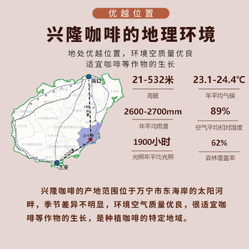 兴隆咖啡正大太阳河咖啡海南老字号黑咖啡焦香浓郁咖啡粉炭烧风味挂耳咖啡