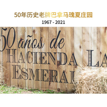 来美咖翡翠庄园绿标日晒瑰夏咖啡豆250g 【进博会展示】高贵奢华