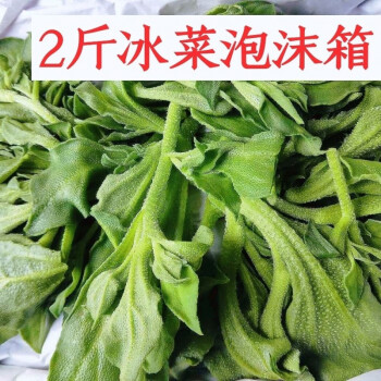 沙拉冰菜图片