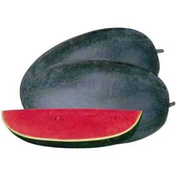 黑美人西瓜种子大果型黑皮巨型无籽西瓜种籽超甜红肉瓤春夏季水果