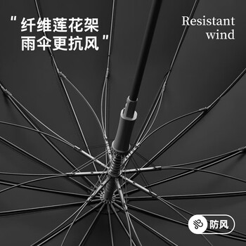 美度（MAYDU）自动雨伞大号加固加厚结实抗风商务伞双人伞280T M1615黑色