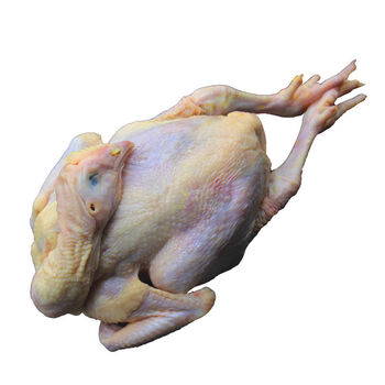 顺丰正宗三黄土鸡整鸡母鸡散养生态鸡农家笨鸡鲜冻三黄鸡两只三黄鸡