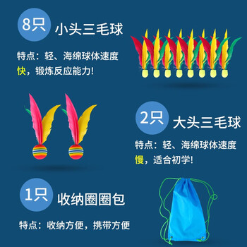 紫湖 加厚板羽拍板球套装三毛球拍毽子球木板羽毛球带12球收纳袋 紫湖 加厚板羽拍板球套装三毛球拍毽子球木板羽毛球带12球收纳袋
