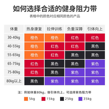 PROIRON普力艾 弹力带引体向上助力带练腿阻力带力量训练 4件套装