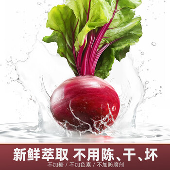 丙田 甜菜根粉450g 纯红甜菜头粉无添加蔗糖甜菜根汁冲饮果蔬菜粉健身