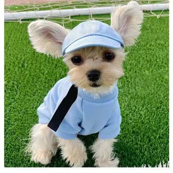 ldlc宠物狗狗帽子鸭舌棒球帽小型犬泰迪比熊遮阳帽猫咪露耳朵时尚头饰