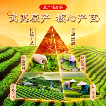 七春 正山小种红茶 武夷山茗茶 蜜香型小罐装口粮茶叶伴手礼250g 七春 正山小种红茶 武夷山茗茶 蜜香型小罐装口粮茶叶伴手礼250g
