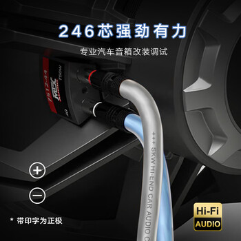SKW 发烧级 246芯 无氧铜镀银音箱线 音频线 抗干扰 家庭影院工程汽车改装功放环绕音响线 ZQ02-10米