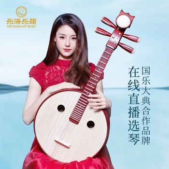 中国　中阮 乐海中阮价格报价行情- 京东