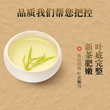 骏江南2026新茶头采碧螺春绿茶茶叶 特级明前250g长辈自己喝节日送礼