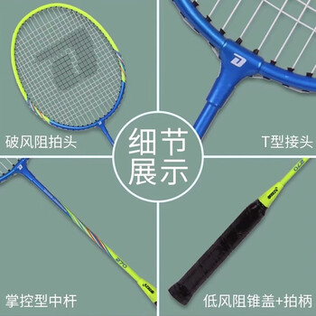 红双喜（DHS）羽毛球球拍 270铁合金两只装