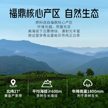 鼎存白茶福鼎寿眉一级50g2019年散茶盒装自己喝自饮茶叶