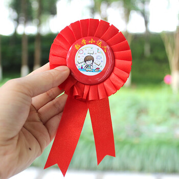 小红花胸花别针小学生幼儿园开学礼物大花朵学校教师奖励勋章礼品 10